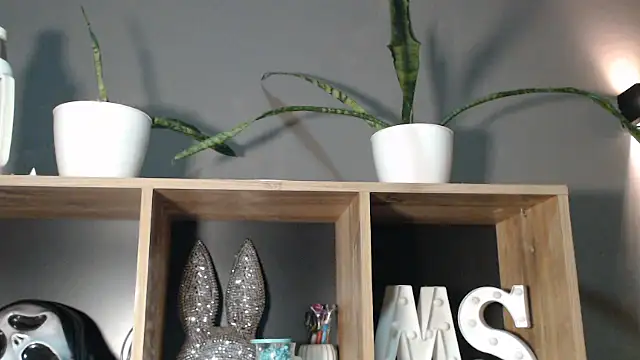 mickystrumia23 online show from January 6, 2026, 12:03 am