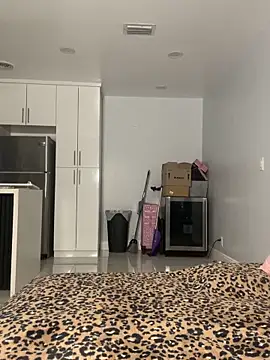 PrincessDreamm online show from May 14, 2026, 12:39 am