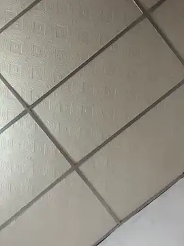 Snapshot of meliodas_23cm chatting on March 11, 2026, 4:40 am meliodas 23cm online show from March 11, 2026, 4:40 am