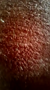 CEEKAYPRO online show from March 15, 2026, 9:04 am