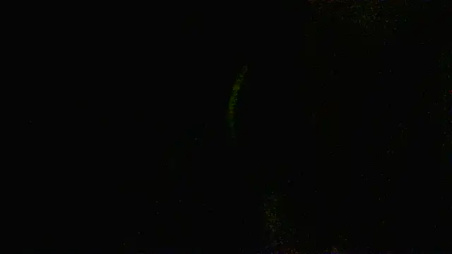 Zulreyna online show from May 6, 2026, 4:52 am