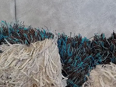 Snapshot of LannyShell chatting on November 26, 2025, 5:25 pm LannyShell online show from November 26, 2025, 5:25 pm