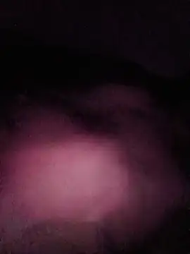 White chocolate69 online show from December 21, 2025, 2:35 pm