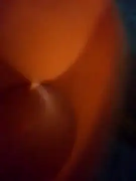 Snapshot of WillfulVideo chatting on March 24, 2026, 8:08 am WillfulVideo online show from March 24, 2026, 8:08 am