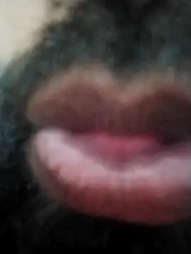 Snapshot of hyderabad_single chatting on November 24, 2025, 12:38 pm hyderabad single online show from November 24, 2025, 12:38 pm