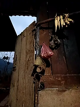 -Chua-90 online show from March 13, 2026, 11:28 am