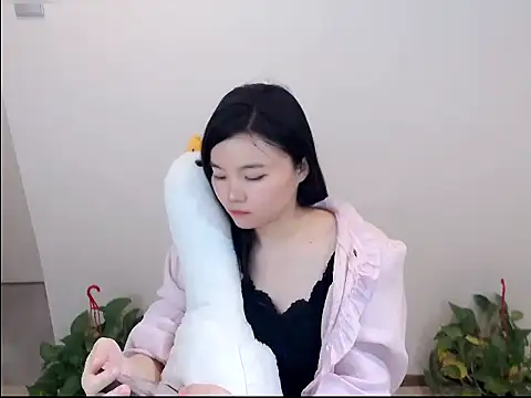 Snapshot of Shaurk chatting on January 19, 2026, 8:18 am Shaurk online show from January 19, 2026, 8:18 am