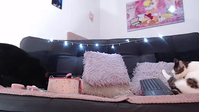 valery carter01 online show from February 17, 2026, 6:36 pm