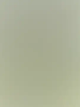 Rouse hot  online show from December 20, 2025, 3:24 am