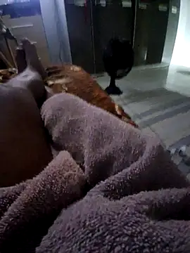 Snapshot of krett65 chatting on December 5, 2025, 1:03 am krett65 online show from December 5, 2025, 1:03 am