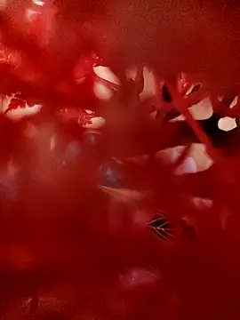 Jbsmaster online show from November 19, 2025, 2:06 pm