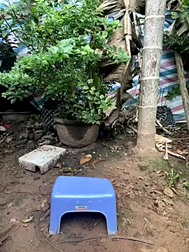 XndSeraphina online show from December 3, 2025, 9:40 am