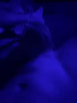 Tommy777B online show from February 7, 2026, 10:57 pm