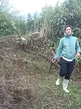 nangmo online show from March 5, 2026, 12:06 am