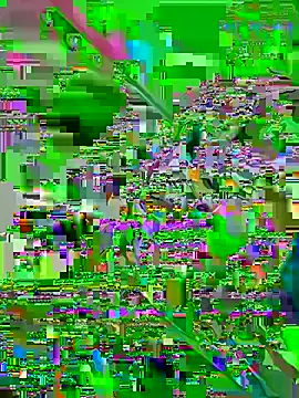A Good Witch online show from June 26, 2026, 1:15 pm