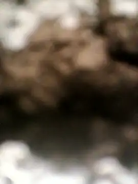 sexygosht online show from April 18, 2026, 10:52 am