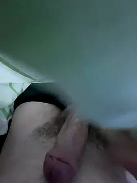 Snapshot of LoiroSafadinho chatting on February 28, 2026, 3:18 am LoiroSafadinho online show from February 28, 2026, 3:18 am