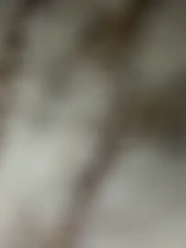 Chrisd3195 online show from February 22, 2026, 6:02 am