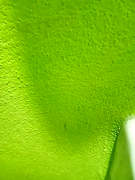 Snapshot of hectorpuga9 chatting on March 9, 2026, 8:51 am hectorpuga9 online show from March 9, 2026, 8:51 am