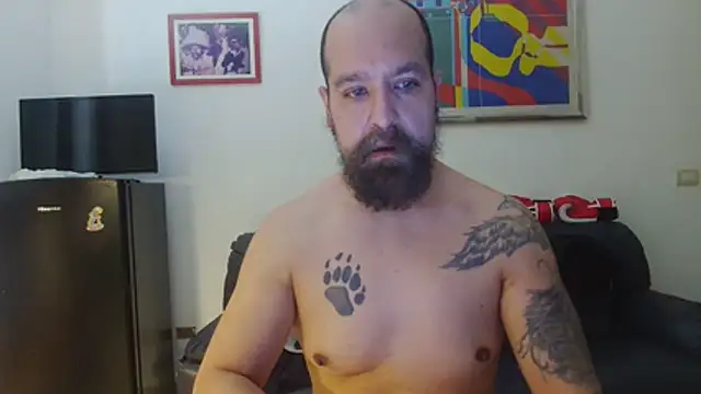 AMIRDIB2025 online show from June 26, 2026, 11:47 am