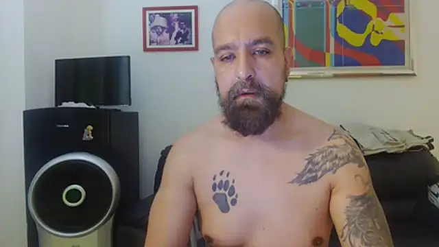 AMIRDIB2025 online show from July 3, 2026, 1:06 pm