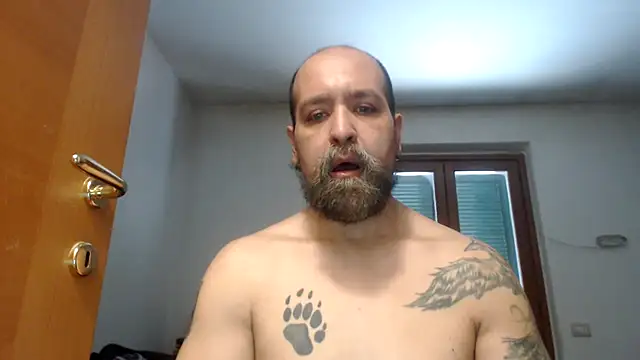 AMIRDIB2025 online show from July 21, 2026, 3:25 pm