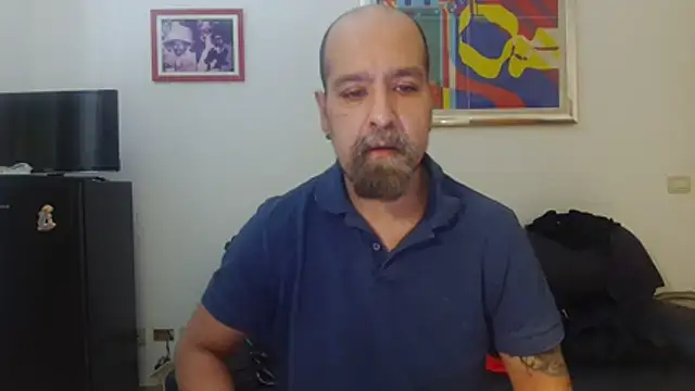 AMIRDIB2025 online show from August 1, 2026, 12:04 pm