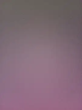 gatitachula93 online show from February 10, 2026, 1:48 pm