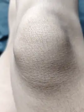 Miky Lyn online show from February 18, 2026, 5:53 pm