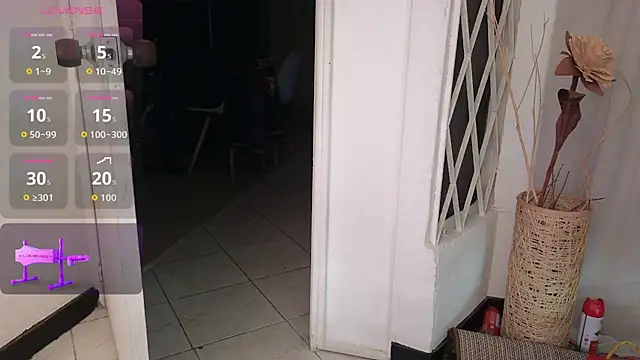 Saly Moon1 online show from December 13, 2025, 8:47 pm