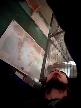 Snapshot of bigjohnson2914 chatting on March 24, 2026, 1:05 pm bigjohnson2914 online show from March 24, 2026, 1:05 pm