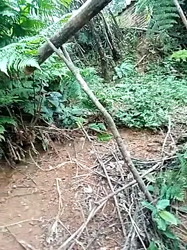 ava-dellght online show from January 17, 2026, 2:38 am