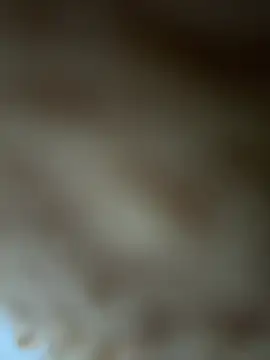 Snapshot of Wendy-babyy chatting on June 3, 2026, 7:08 pm Wendy-babyy online show from June 3, 2026, 7:08 pm
