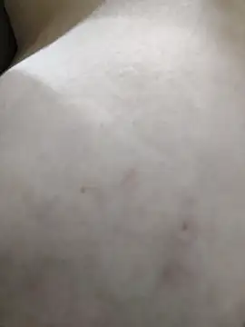 Snapshot of palomitka chatting on February 11, 2026, 5:45 am palomitka online show from February 11, 2026, 5:45 am