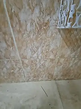 Snapshot of Bigkannan chatting on January 31, 2026, 7:23 pm Bigkannan online show from January 31, 2026, 7:23 pm