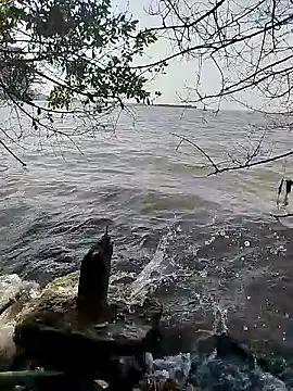 Andreskelly online show from February 16, 2026, 1:51 pm