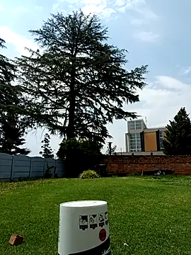 Snapshot of PetiteDoll_06 chatting on February 21, 2026, 11:55 am PetiteDoll 06 online show from February 21, 2026, 11:55 am