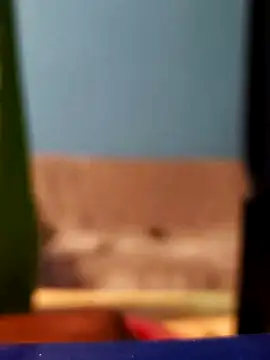 Roberto772 online show from February 26, 2026, 3:38 am