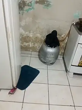 Snapshot of _-_charmosa chatting on December 15, 2025, 1:21 am - charmosa online show from December 15, 2025, 1:21 am