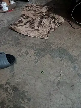 Lovely priya1001 online show from April 22, 2026, 1:41 am