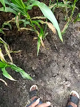 Snapshot of loki-king-143 chatting on February 24, 2026, 3:59 am loki-king-143 online show from February 24, 2026, 3:59 am