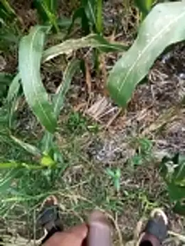 Snapshot of loki-king-143 chatting on March 9, 2026, 9:46 am loki-king-143 online show from March 9, 2026, 9:46 am