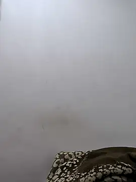 Snapshot of twinkarabboy chatting on February 17, 2026, 11:29 am twinkarabboy online show from February 17, 2026, 11:29 am