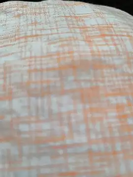 White-Rose-Telugu online show from December 19, 2025, 4:14 pm