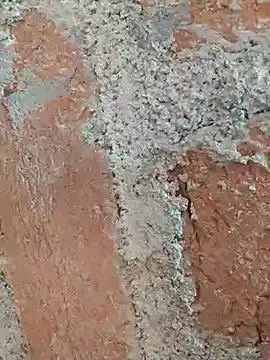 Snapshot of Soniya5533 chatting on December 14, 2025, 9:03 am Soniya5533 online show from December 14, 2025, 9:03 am