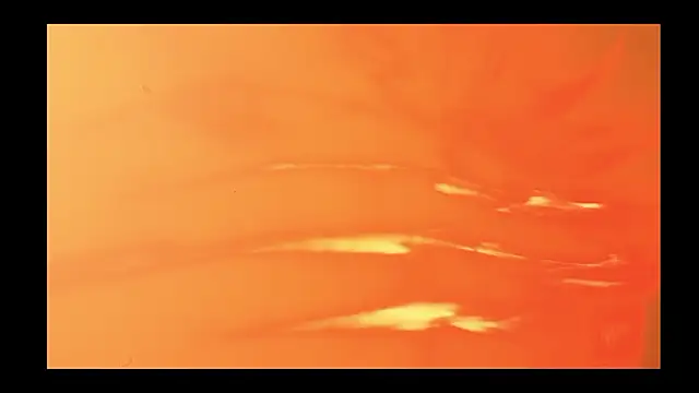 vickvalencia2 online show from February 13, 2026, 1:40 pm