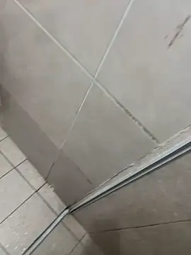 sugar babyy1 online show from March 18, 2026, 3:31 am