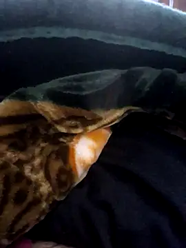 aman4404 online show from March 14, 2026, 4:07 am