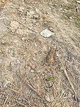 Snapshot of sexloverg7 chatting on December 15, 2025, 10:41 am sexloverg7 online show from December 15, 2025, 10:41 am