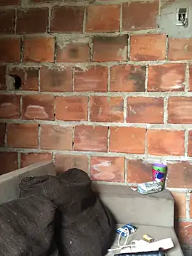 Geelalmeida online show from April 2, 2026, 10:46 am